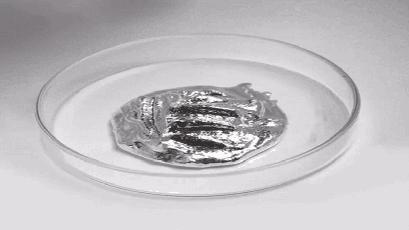 Silvery, malleable liquid metal resting in a clear glass petri dish
